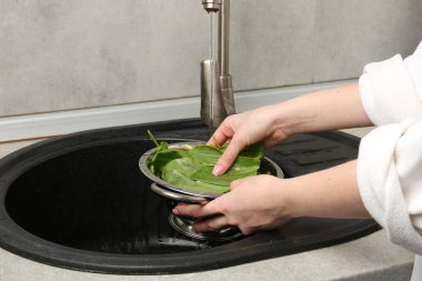 Kadın musluk suyunun altında taze kuş yapraklarını yıkıyor. Lavabonun üstünde, yakın plan.