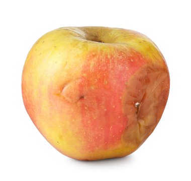Bir çürük elma beyazda izole edilmiş.