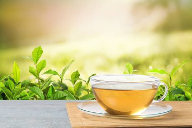 Çay çiftliğindeki ahşap masada bir fincan yeşil çay. Metin için boşluk