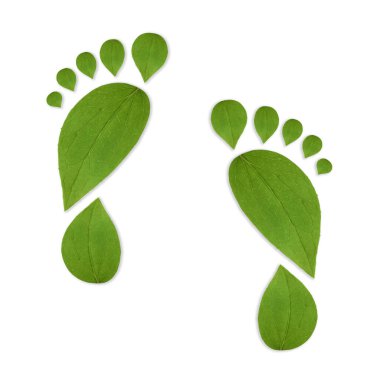 Beyaz arka planda yeşil yapraklardan yapılmış insan ayak izleri. Çevre bakımı, ekoloji koruması, CO2 emisyonunun azaltılması