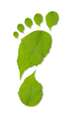 Beyaz arka planda yeşil yapraklardan yapılmış insan ayak izleri, üst manzara. Çevre bakımı, ekoloji koruması, CO2 emisyonunun azaltılması