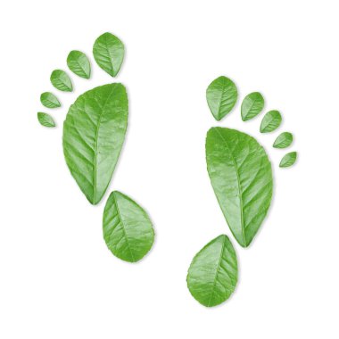 Beyaz arka planda yeşil yapraklardan yapılmış insan ayak izleri. Çevre bakımı, ekoloji koruması, CO2 emisyonunun azaltılması