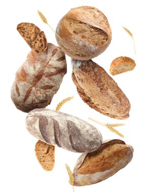 Beyaz arka plana düşen farklı ekmek ve dikenler.