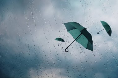 Koyu yeşil şemsiyeler bulutlu gökyüzünde uçuyor, ıslak pencereden bakıyor. Fırtınalı hava