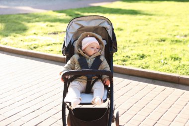 Parktaki bebek arabasında şirin bir bebek.