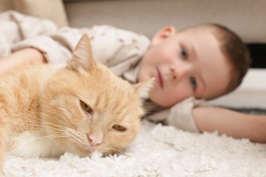 Evinde kızıl kedisi olan küçük bir çocuk, seçici bir odak noktası var.