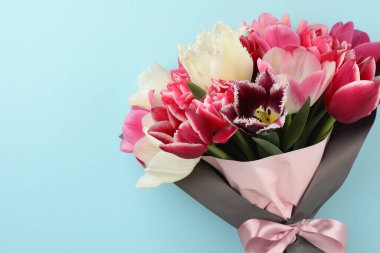 Açık mavi arka planda güzel laleler, üst manzara.