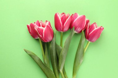 Yeşil arka planda güzel lale çiçekleri, üst manzara