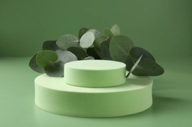 Yeşil zemine karşı podyumda güzel okaliptüs dalları