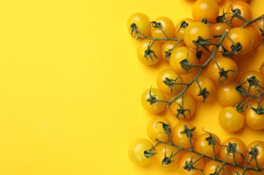 Renkli, olgun, sarı domatesler, düz bir zemin. Metin için boşluk