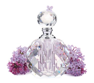 Parfüm ve güzel leylak çiçekleri beyaza izole edilmiş.