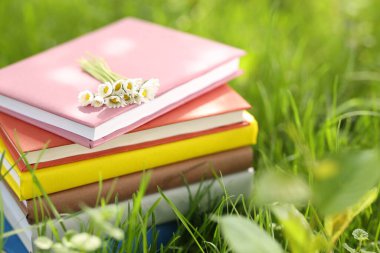 Yeşil çimlerin üzerinde papatya çiçekleri olan kitaplar, yakın plan.