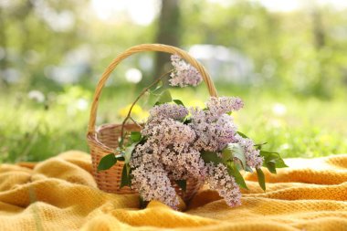 Leylak çiçekli hasır sepet ve yeşil çimlerin üzerinde battaniye.
