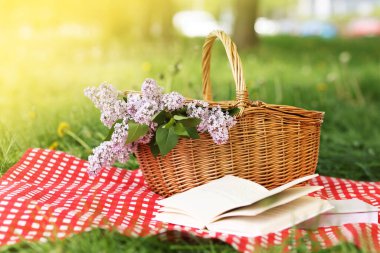 Kitaplar, battaniye ve hasır sepet açık yeşil çimlerde leylak çiçekleri
