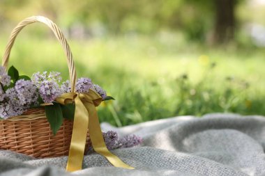 Açık havada üzerinde leylak çiçekleri olan hasır sepet. Metin için boşluk