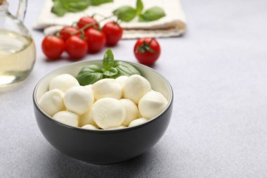 Lezzetli mozzarella peynirli toplar, domatesler ve açık gri masada fesleğen, yakın plan. Metin için boşluk
