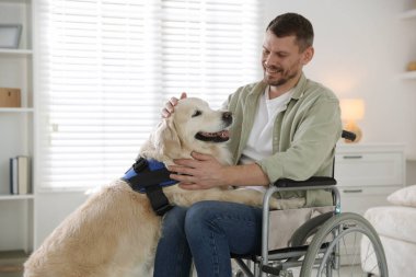Tekerlekli sandalyedeki adam ve hizmetli köpeği evde. Metin için boşluk