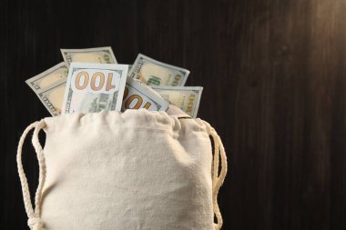 Bulanık arka planda dolar banknotları olan para çantası, yakın plan. Metin için boşluk