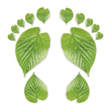 Beyaz arka planda yeşil yapraklardan yapılmış insan ayak izleri. Çevre bakımı, ekoloji koruması, CO2 emisyonunun azaltılması