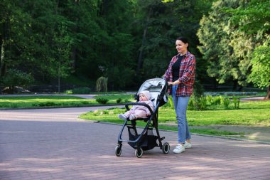 Anne bebeğiyle parkta bebek arabasında yürüyor. Metin için boşluk