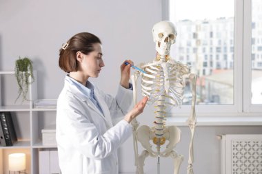 Doktor klinikteki insan iskeleti modelini işaret ediyor.