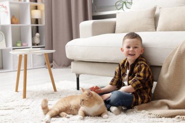 Evinde kızıl kedisi olan küçük bir çocuk, mesaj atmak için yeri var.