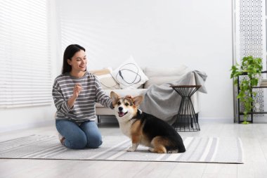 Mutlu kadın köpeğini evde eğitiyor.