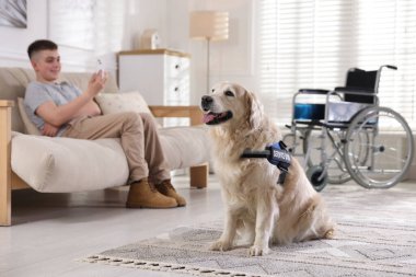 Özürlü ergen çocuk ve hizmetli köpeği evde, seçici odaklı.