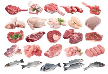Balık ve et. Beyaz arka planda farklı ham ürünler, kolaj