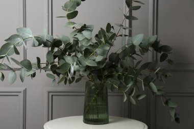 Gri duvarın yanındaki masada vazoda okaliptüs dalları var.