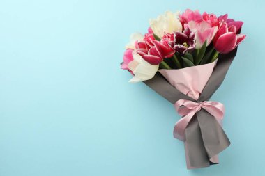 Açık mavi arka planda güzel laleler, üst manzara. Metin için boşluk