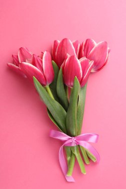 Pembe arka planda güzel laleler, üst manzara.