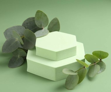 Yeşil zemine karşı podyumda güzel okaliptüs dalları