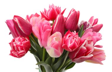 Beyaz izole güzel Lale buketi