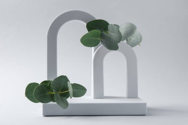 Beyaz arkaplanda güzel okaliptüs dalları olan şık bir sunum