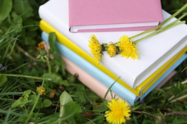 Yeşil çimlerin üzerinde karahindiba çiçekleri olan kitaplar, yakın plan.