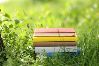 Yeşil çimenler üzerine farklı istiflenmiş kitaplar.