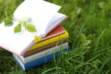 Yeşil çimenler üzerine kitap istifledim, yakın plan. Metin için boşluk