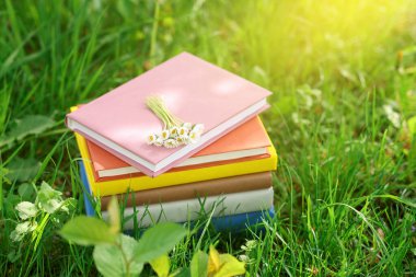 Yeşil çimlerin üzerinde papatya çiçekleri olan kitaplar.