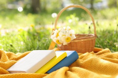 Yığılmış kitaplar, battaniye ve hasır sepet. Yeşil çimlerin üzerinde nergis çiçekleri, yakın plan.