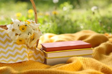 Yığılmış kitaplar, battaniye ve hasır sepet. Yeşil çimlerin üzerinde nergis çiçekleri, yakın plan.