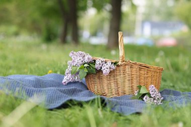 Leylak çiçekli hasır sepet ve yeşil çimlerin üzerinde battaniye.