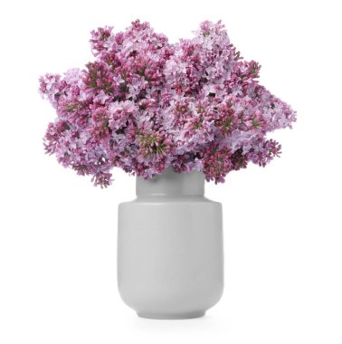 Beyaz vazoda güzel leylak çiçekleri olan dallar.