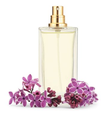 Bir şişe lüks parfüm ve beyaza ayrılmış leylak çiçekleri.