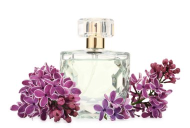 Bir şişe lüks parfüm ve beyaza ayrılmış leylak çiçekleri.