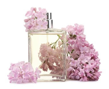 Parfüm ve güzel leylak çiçekleri beyaza izole edilmiş.