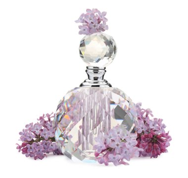 Parfüm ve güzel leylak çiçekleri beyaza izole edilmiş.