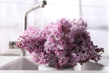 Mutfak lavabosunda güzel leylak çiçekleri, yakın çekim.