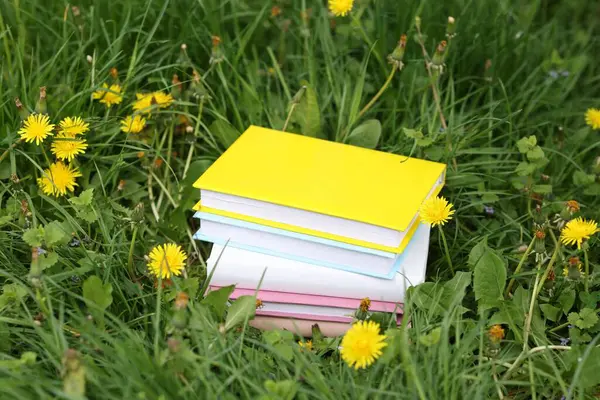 Yeşil çimlerin üzerine yığılmış kitaplar, yakın plan.