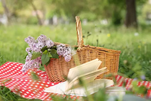 Kitaplar, battaniye ve hasır sepet açık yeşil çimlerde leylak çiçekleri